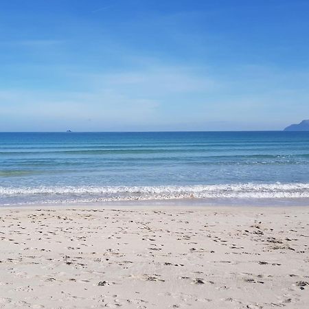 Ideal Property Mallorca - Cittadini 37 Алкудия Екстериор снимка